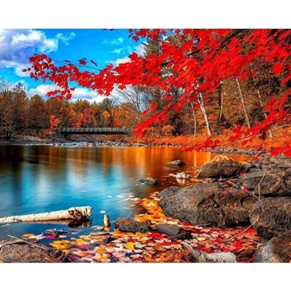 Paint By Number / Home Decor Nature Autumn Red Leaves Oil Painting With Frame - Picture 1 of 10